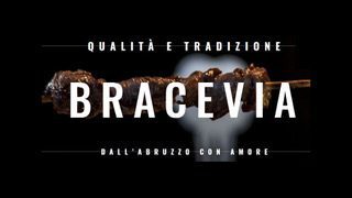 Logo Bracevia