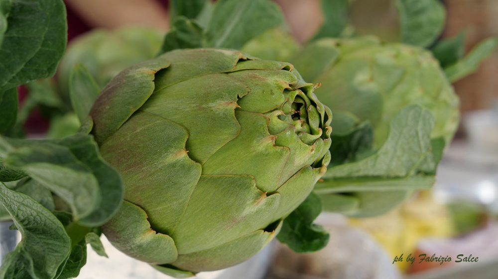 Carciofo astigiano del sorì 1
