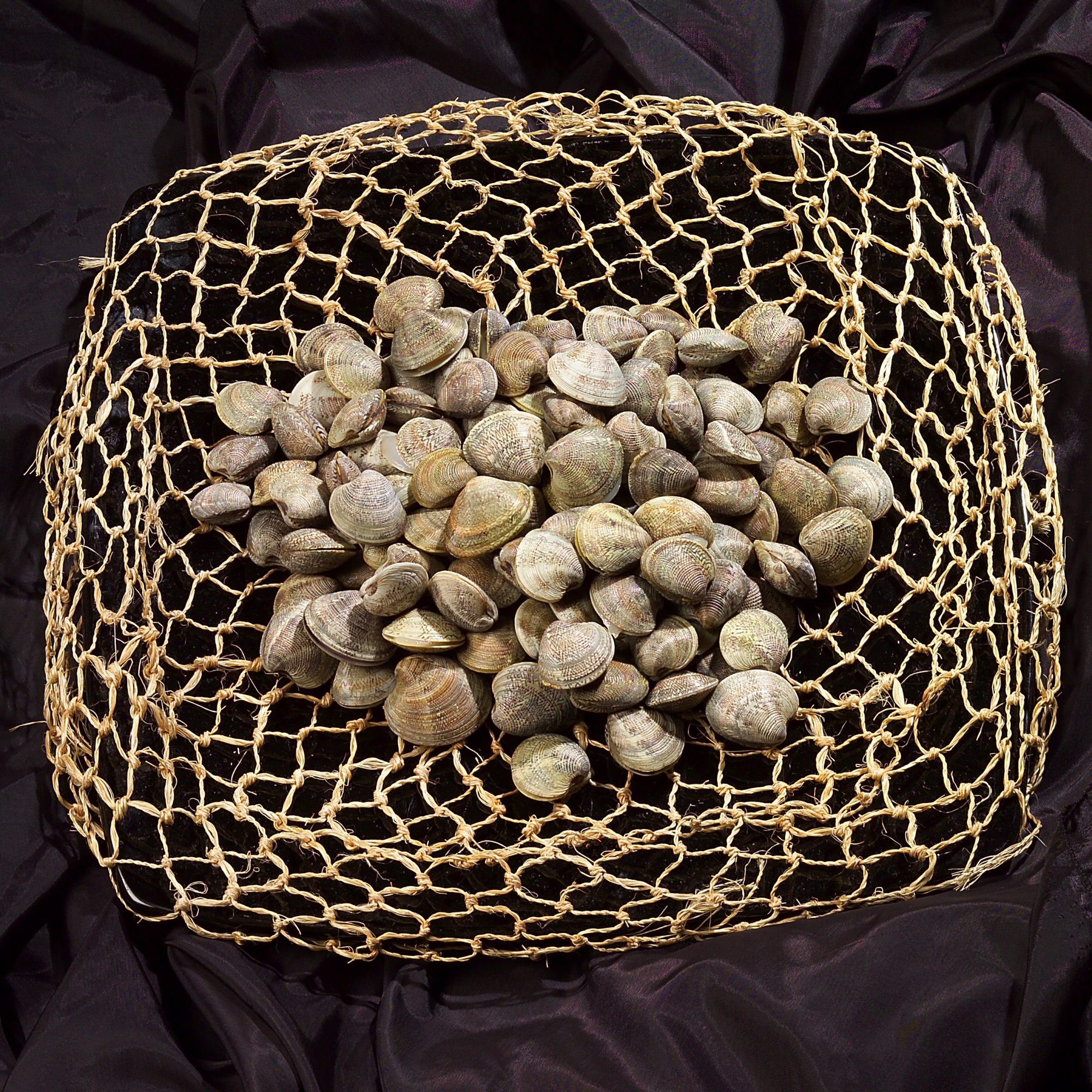 pulire cuocere le vongole