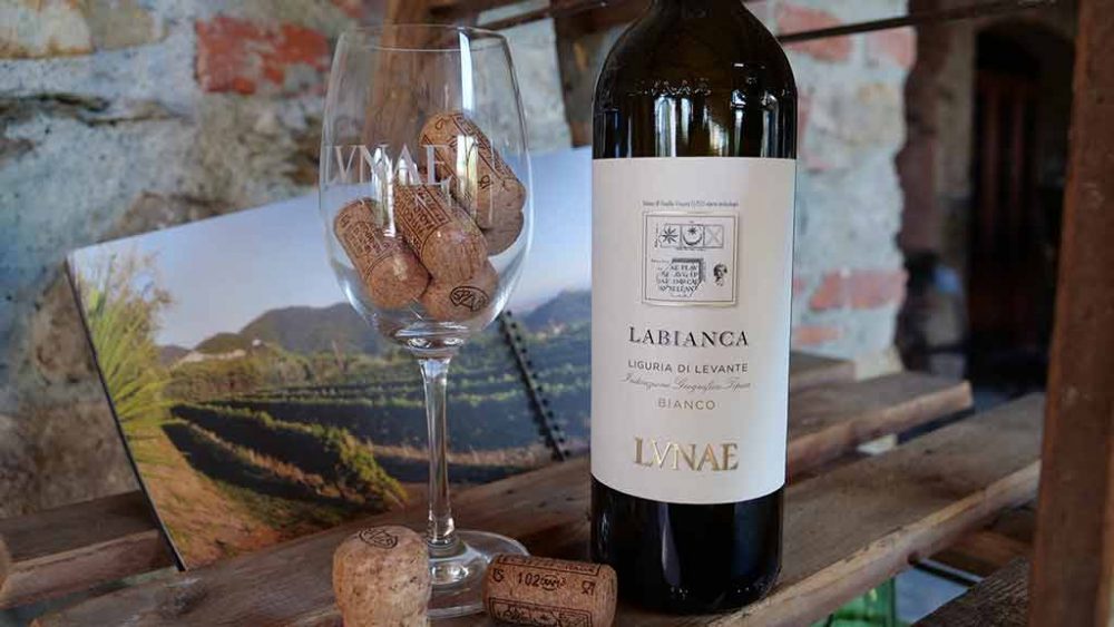 Vermentino Lunae - Vino Luni