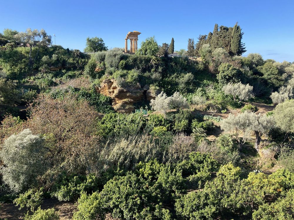 FAI: Giardino Kolymbethra. ph. Giuseppe Taibi