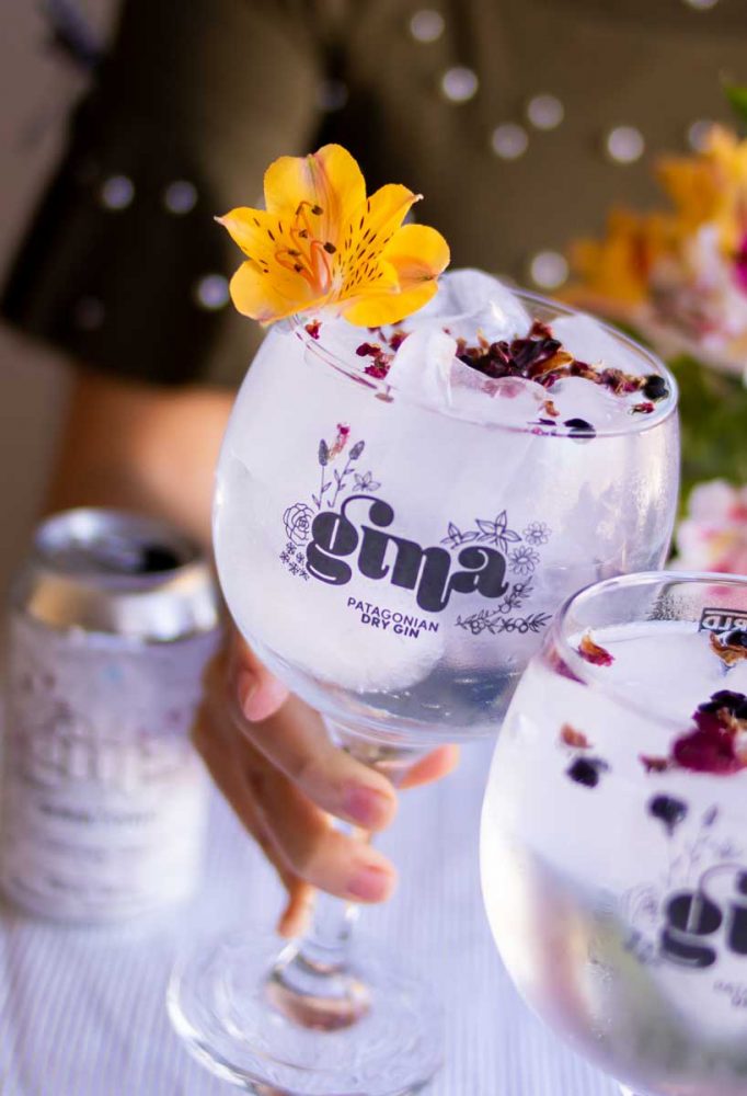 Gin Gina di Teté Moretti