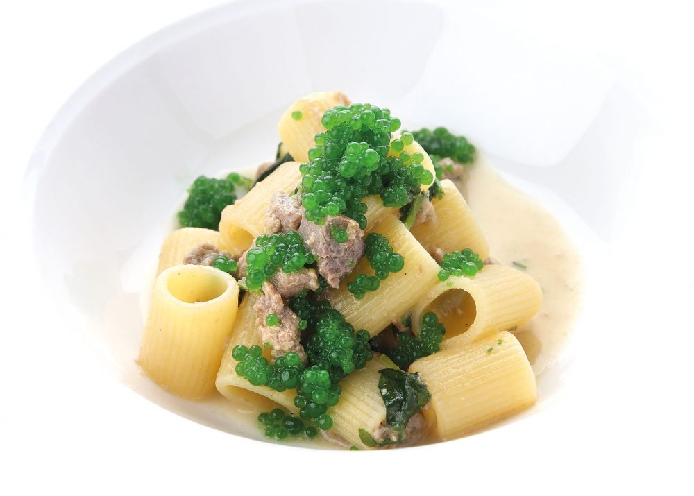 mezze maniche con cicorietta