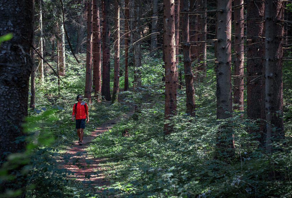 Dolomiti Paganella 1.-Forest-Bathing-al-Parco-del-Respiro_ph.Tommaso-Pini-(4)
