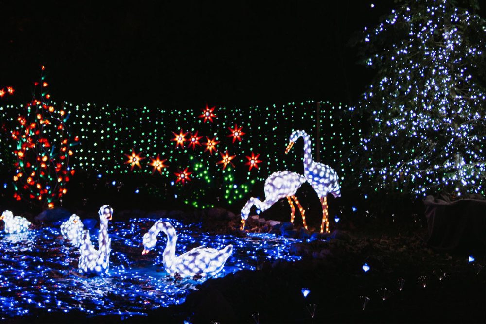 lucine natale leggiuno 3