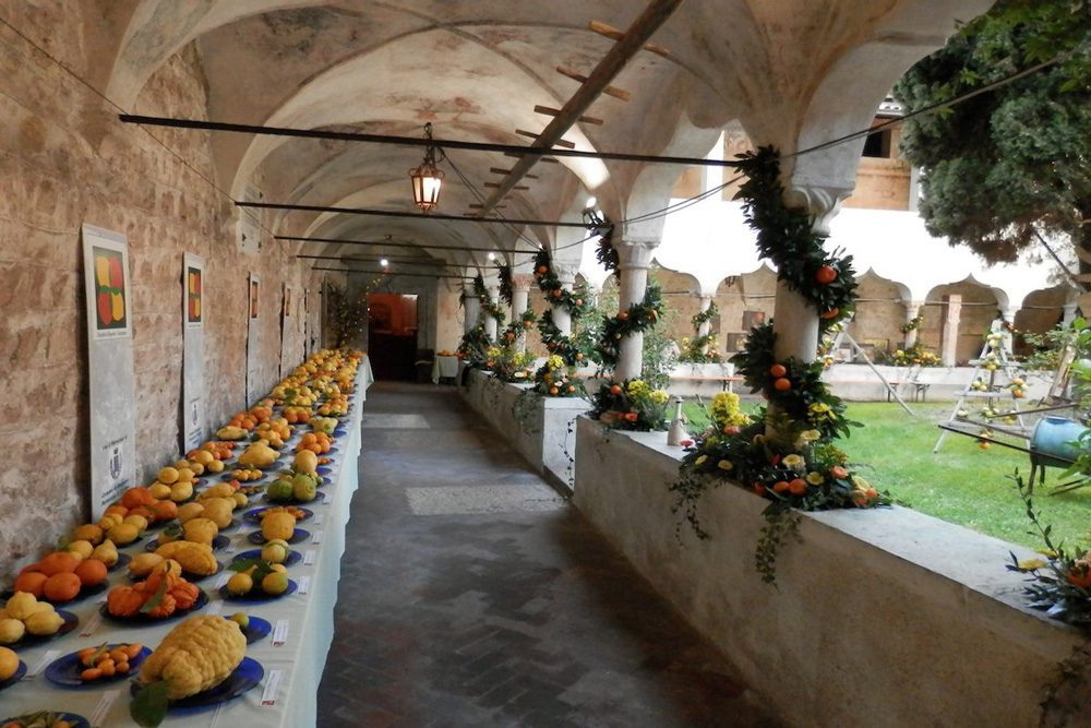 03_GIARDINI-AGRUMI-2018-CHIOSTRO