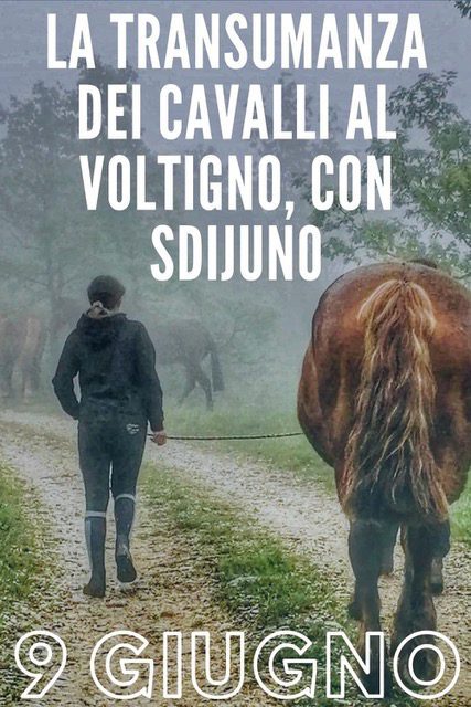 Transumanza dei cavalli