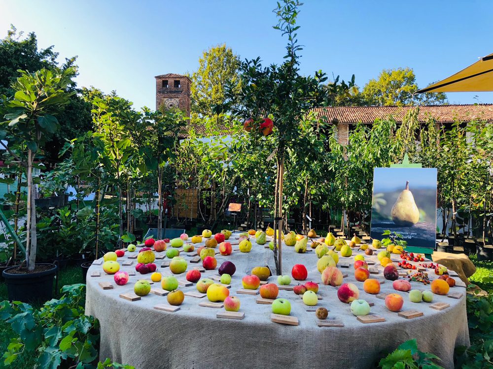 I frutti del castello