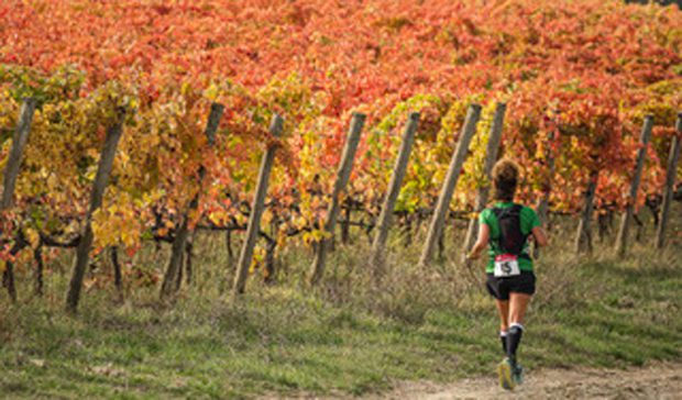 Sagrantino-Running