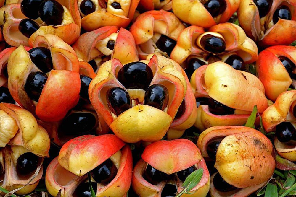 ACKEE - Esperienze gastronomiche