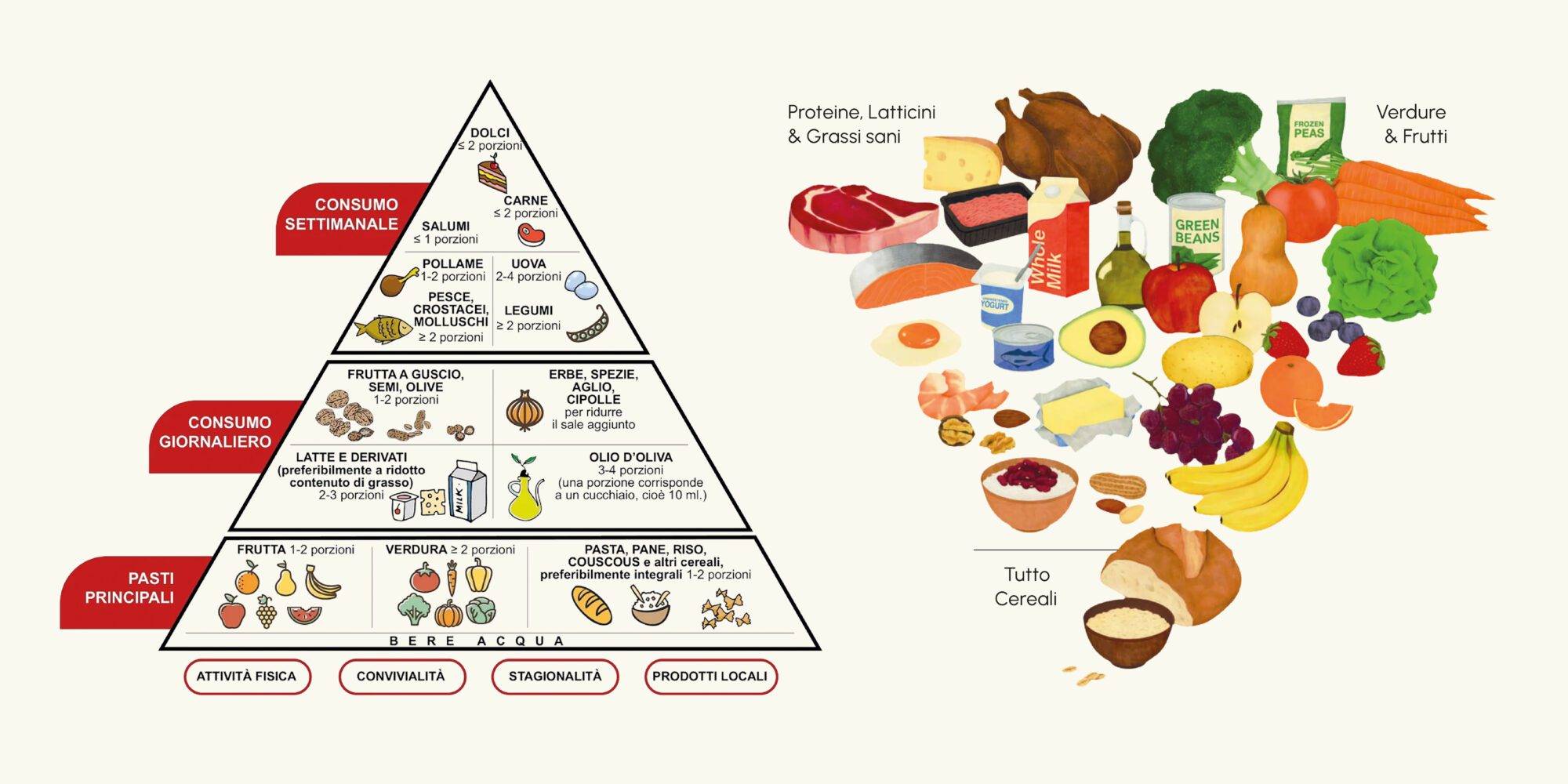 Piramide Alimentare Mediterranea e Piramide Alimentare USA