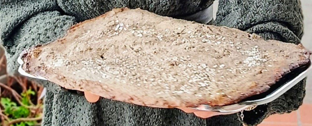 Focaccia al grano saraceno ed ortica con lievito madre