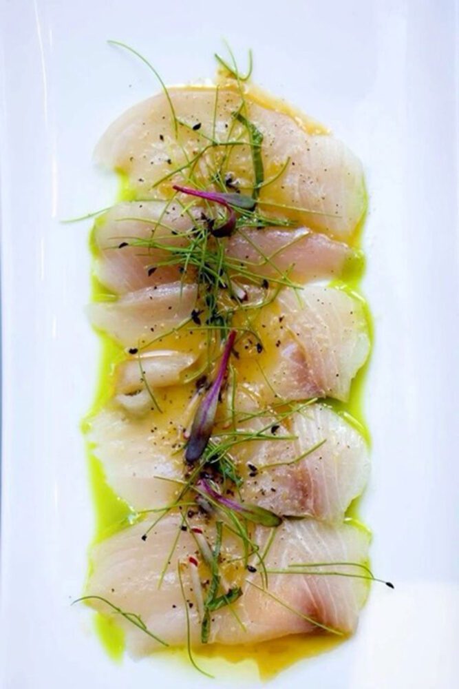 Carpaccio di ricciola con olio al basilico, limone e zenzero