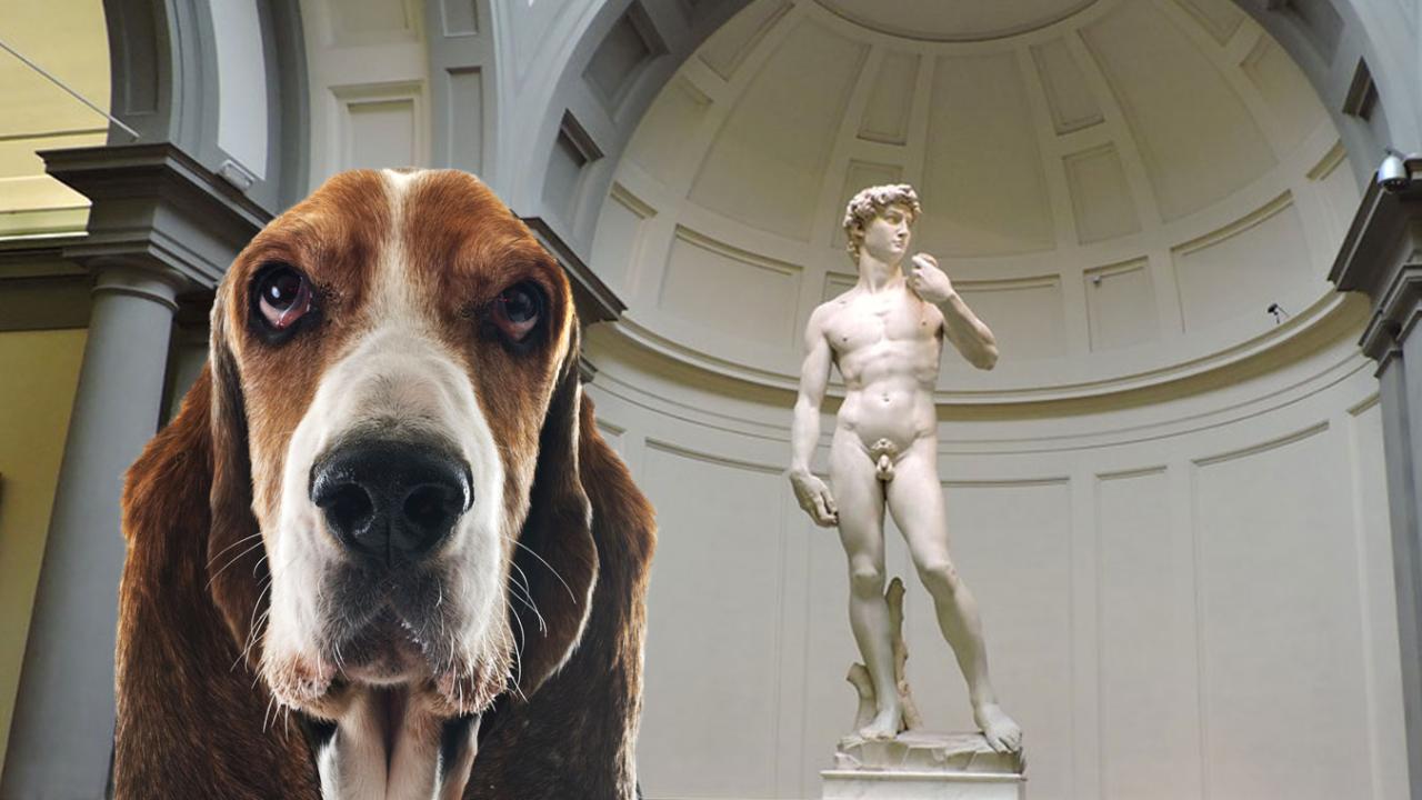 Al museo con il cane | TripForDog