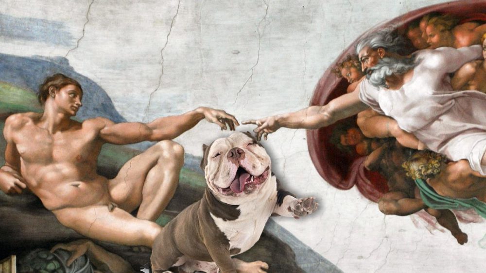Musei vaticani con cane