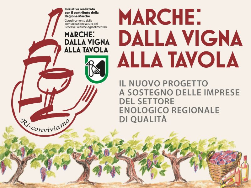 Prog-Marche-Madia-News