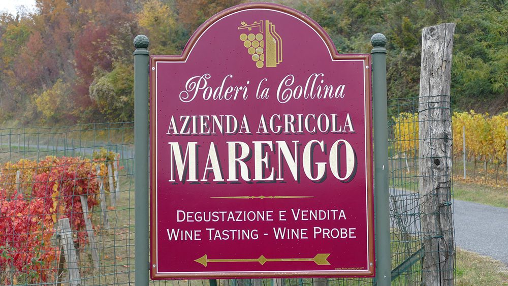 azienda agricola marengo, poderi la collina