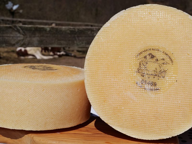 formaggio-u-cabanin