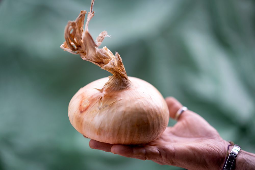 Presìdi Slow Food in Abruzzo