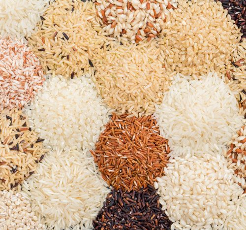 Tipologie di riso