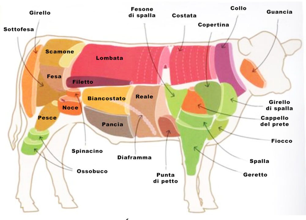 carne bovina