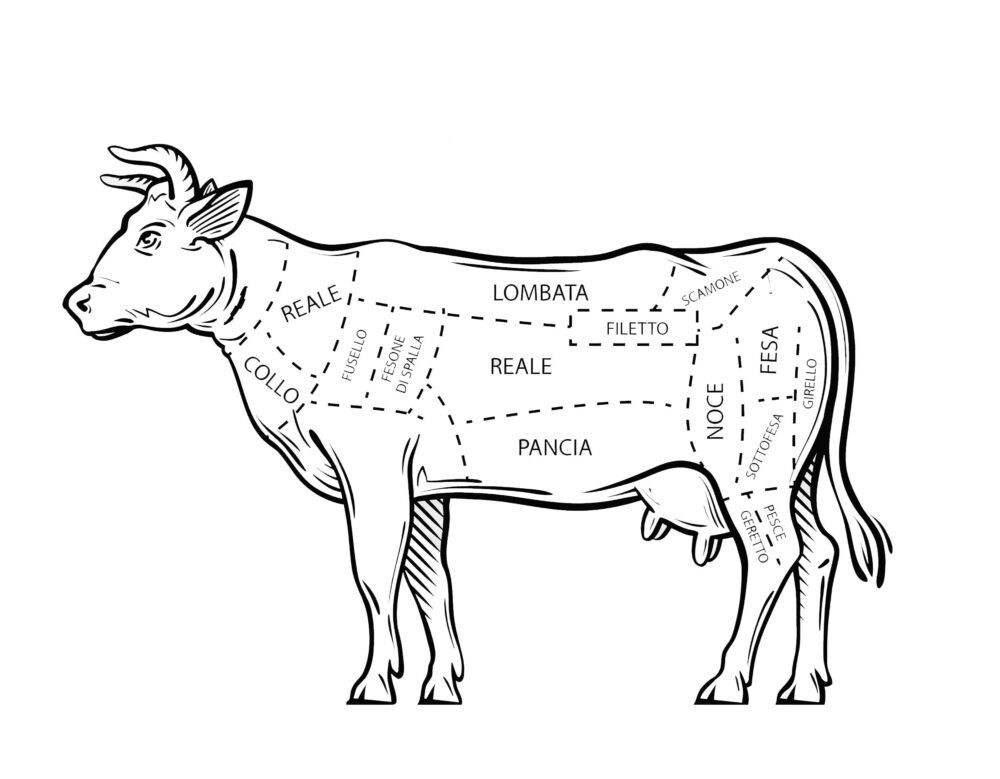 Tagli di carne di un bovino